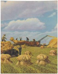 Threshing Golden Grain Wayne White